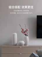 Modern Minimalist Creative White Brushed Ceramic Vase