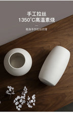 Modern Minimalist Creative White Brushed Ceramic Vase