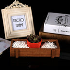 Wooden Herb Flower Succulent Planter