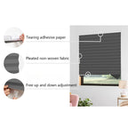 Zebra Blinds Roller Blackout Curtain