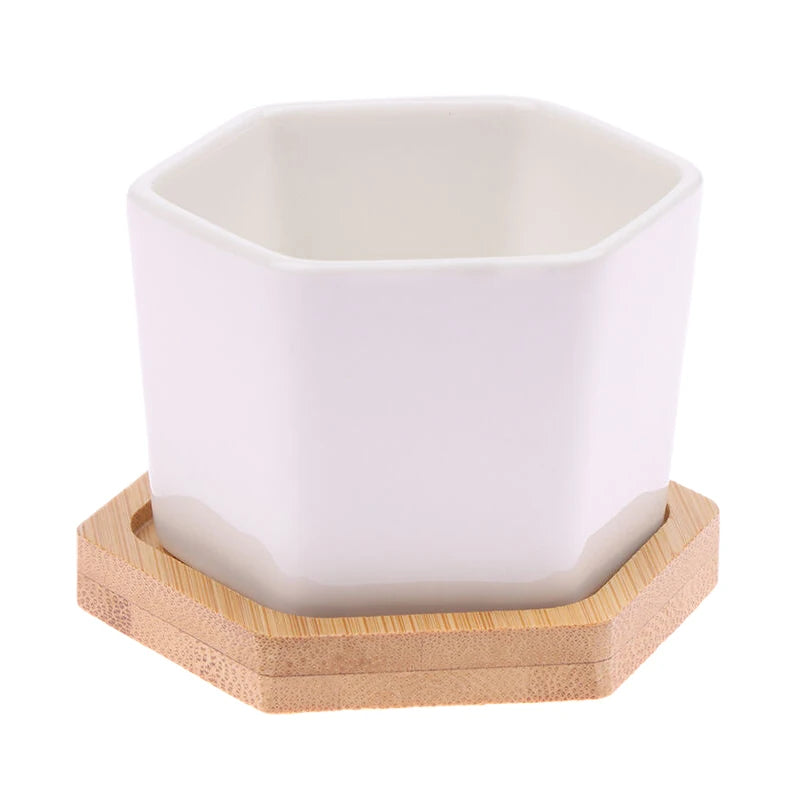 Mini White Hexagon Flower Pot