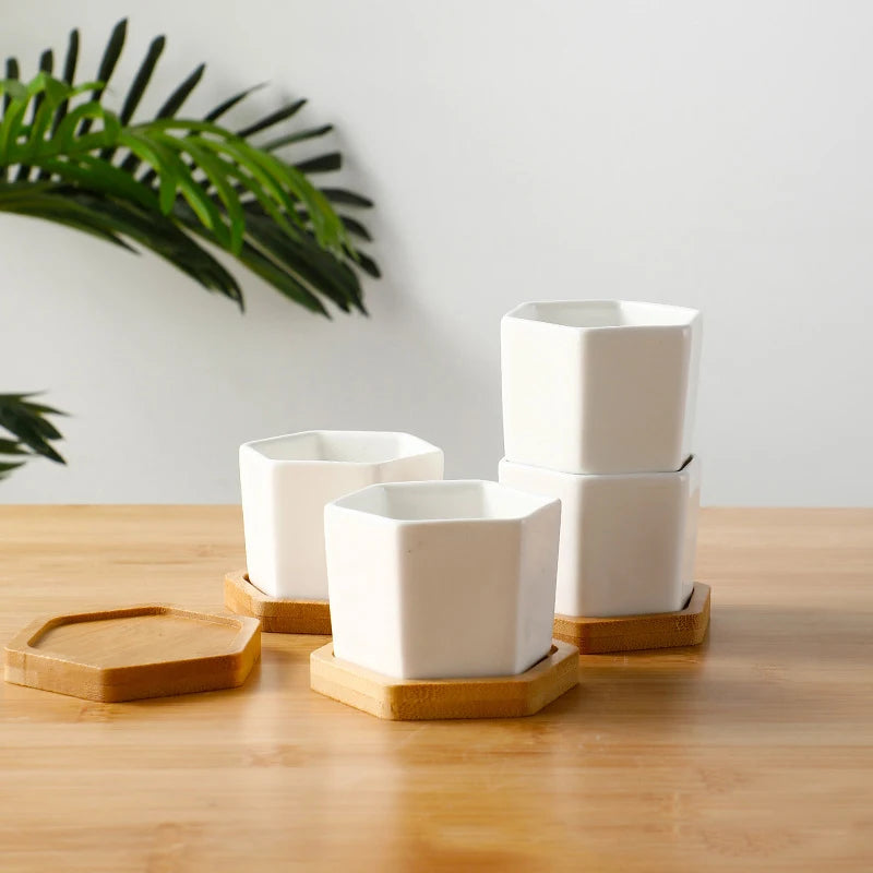 Mini White Hexagon Flower Pot