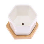 Mini White Hexagon Flower Pot