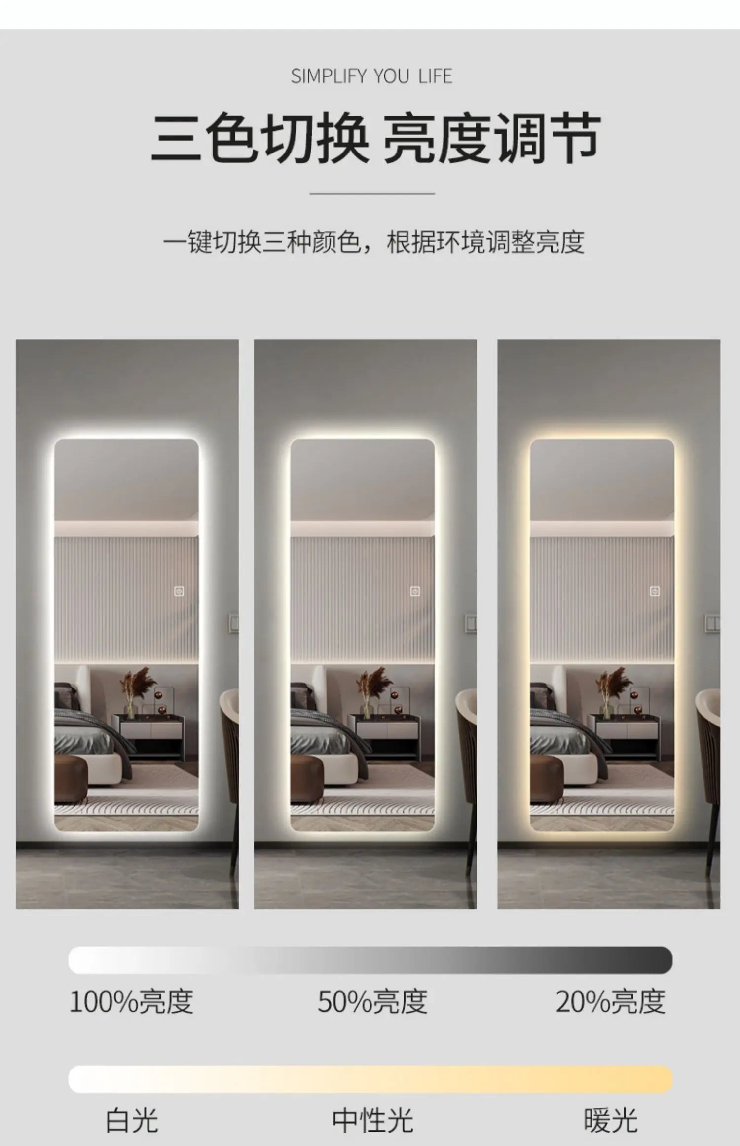 Full Length Wall Mirror