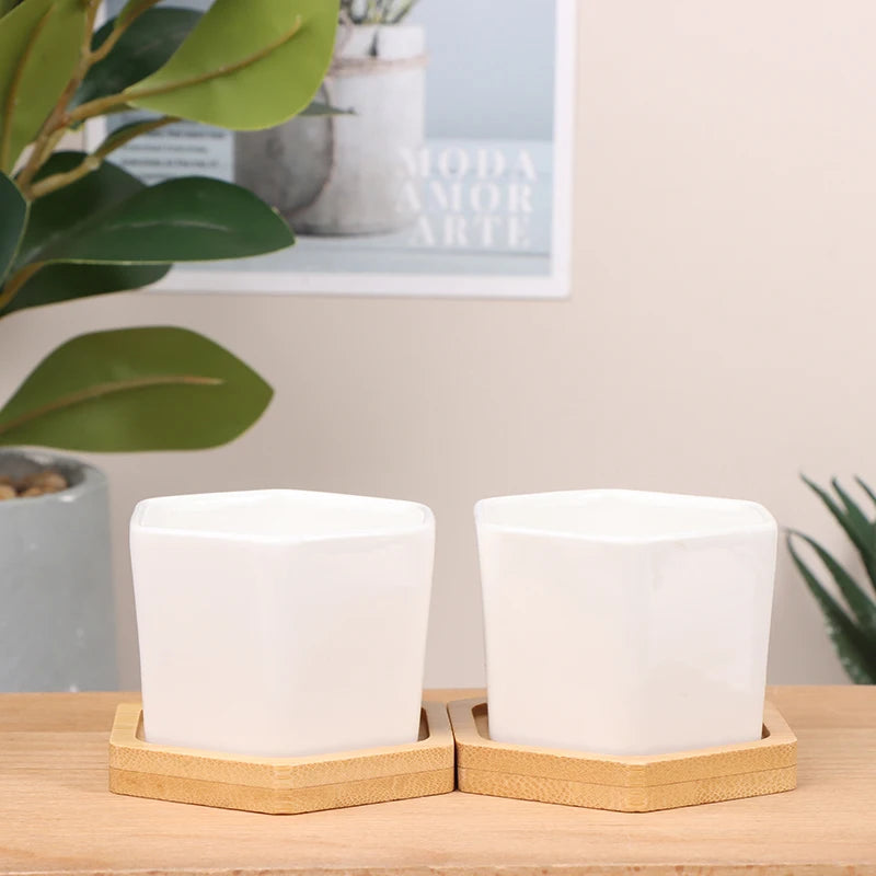 Mini White Hexagon Flower Pot