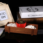 Wooden Herb Flower Succulent Planter