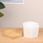 Mini White Hexagon Flower Pot
