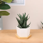 Mini White Hexagon Flower Pot