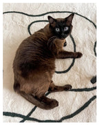 Abstract Art Design Rugs