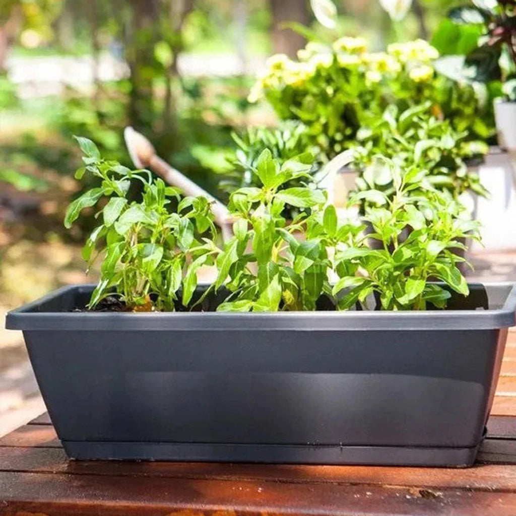 Vegetable Planter