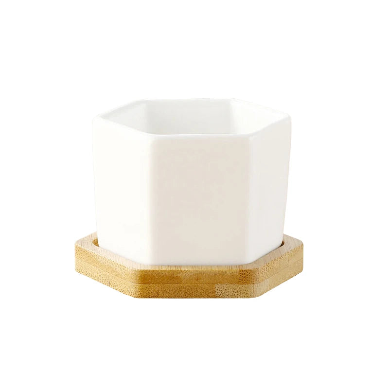 Mini White Hexagon Flower Pot
