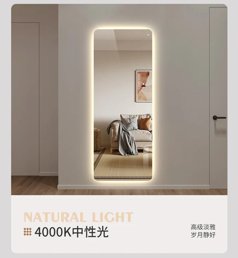 Full Length Wall Mirror