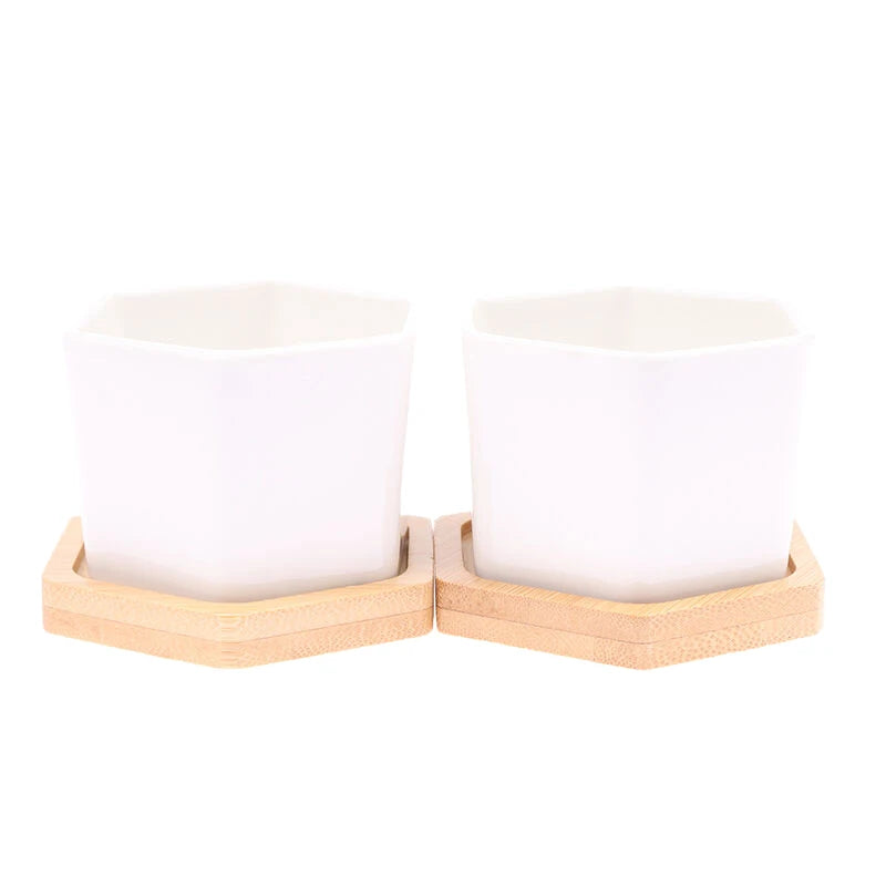 Mini White Hexagon Flower Pot