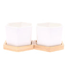 Mini White Hexagon Flower Pot