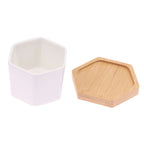 Mini White Hexagon Flower Pot
