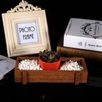 Wooden Herb Flower Succulent Planter