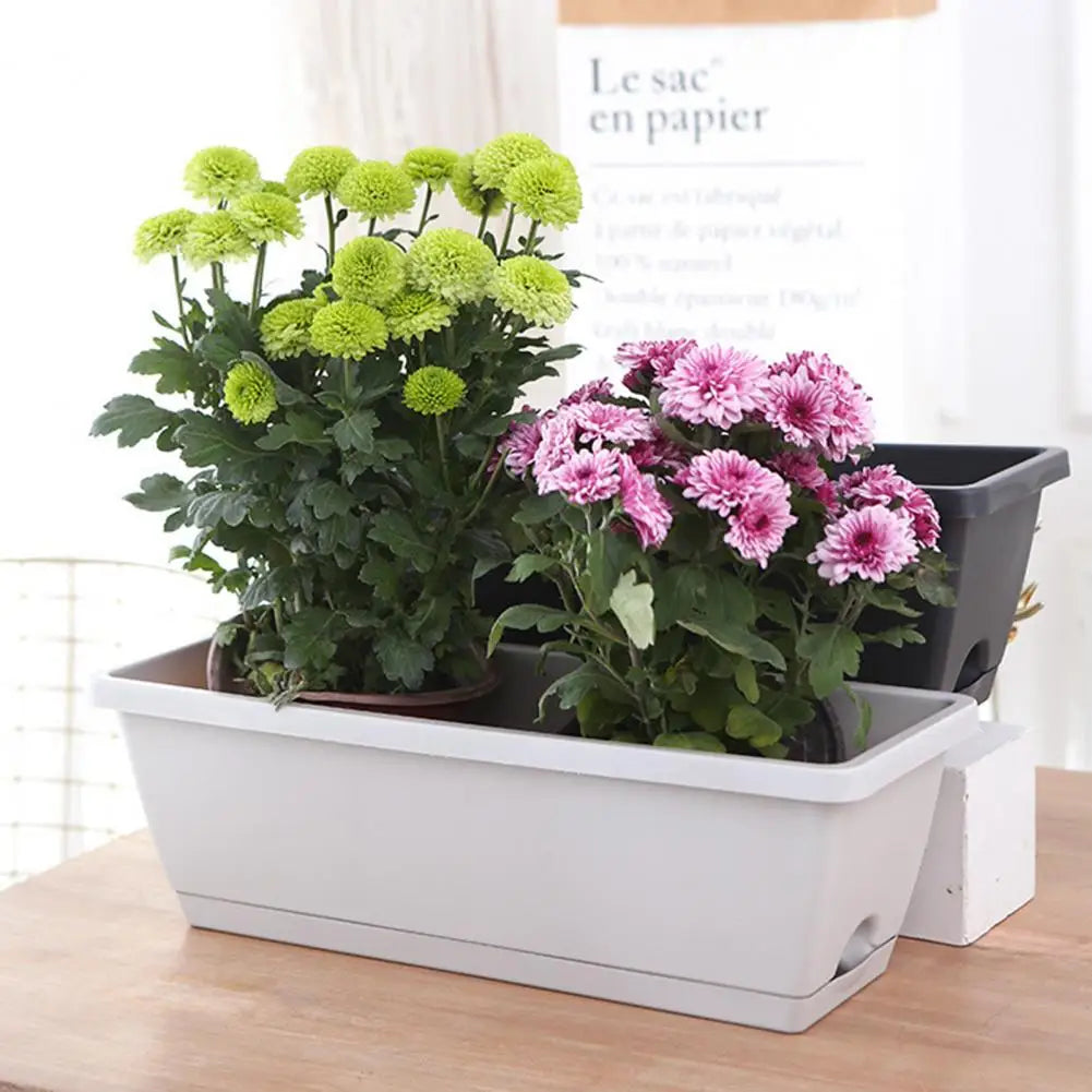 Vegetable Planter