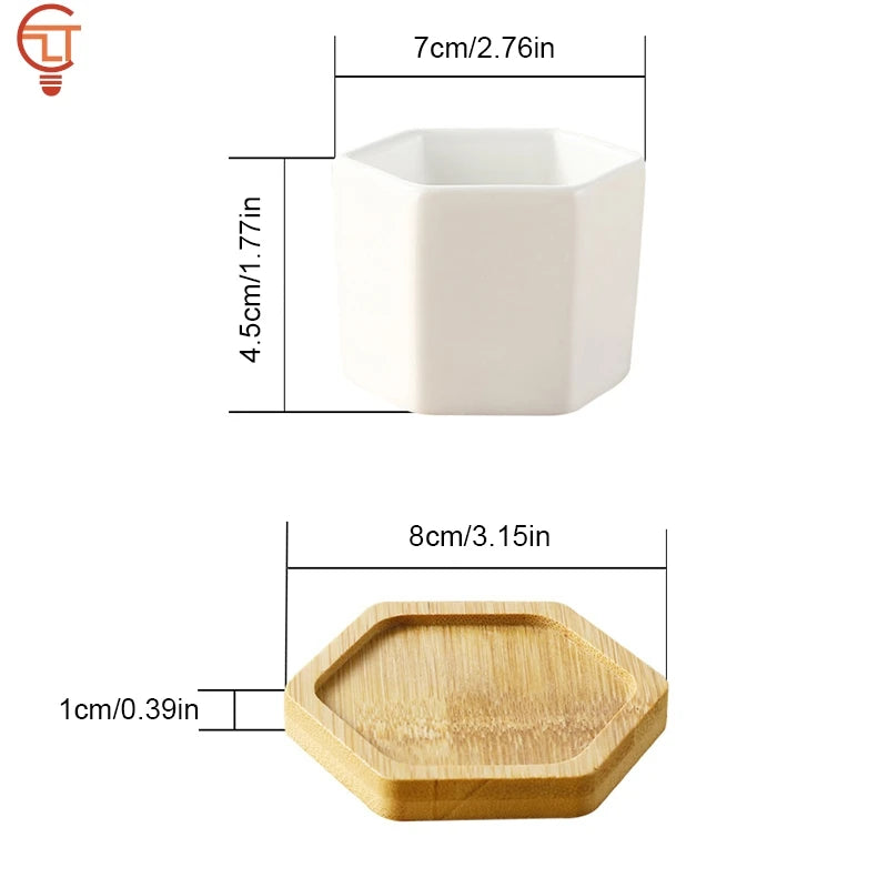 Mini White Hexagon Flower Pot