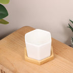 Mini White Hexagon Flower Pot