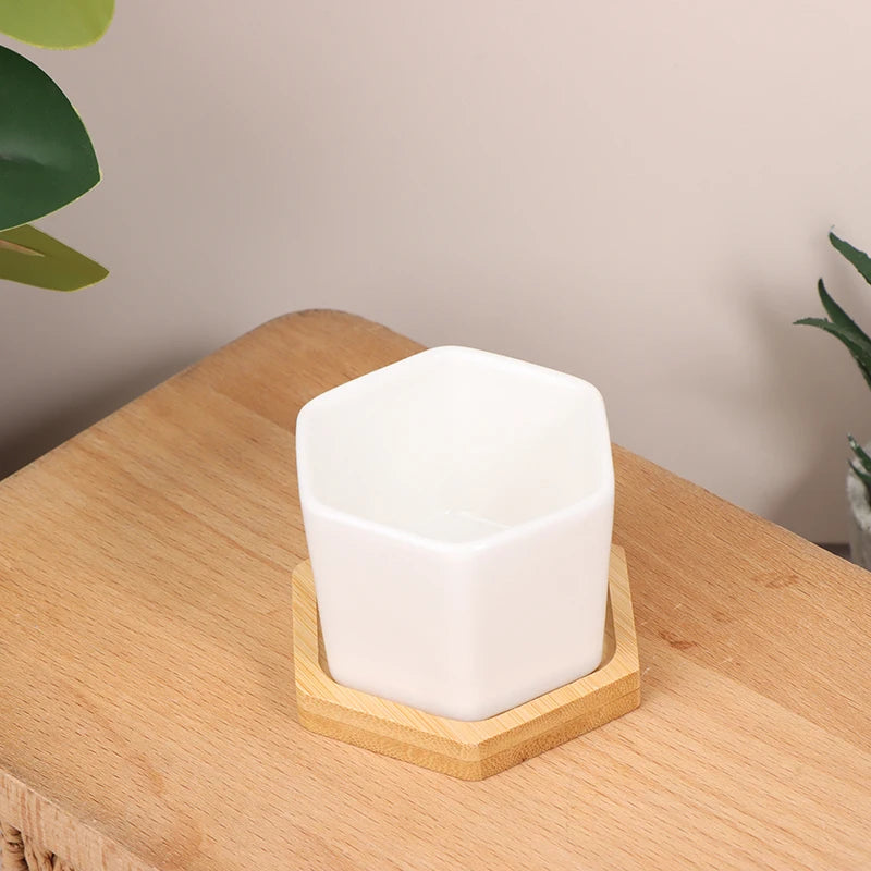 Mini White Hexagon Flower Pot