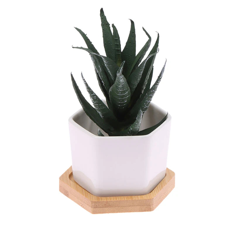 Mini White Hexagon Flower Pot