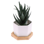 Mini White Hexagon Flower Pot