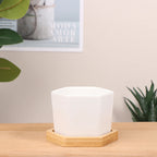 Mini White Hexagon Flower Pot