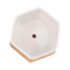 Mini White Hexagon Flower Pot