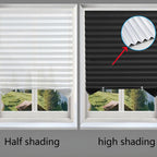 Zebra Blinds Roller Blackout Curtain