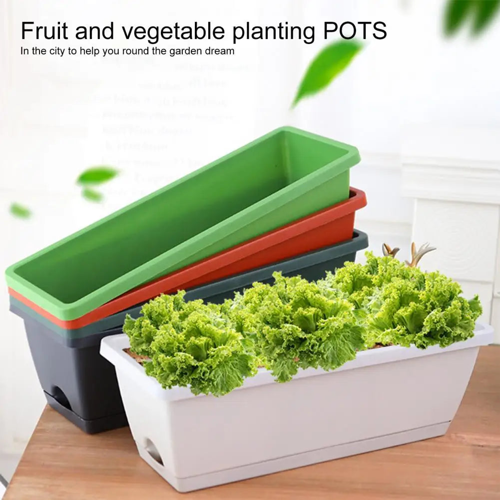 Vegetable Planter