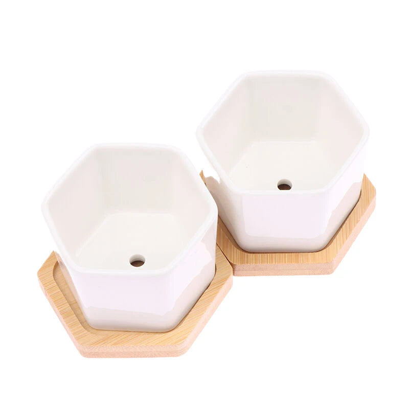 Mini White Hexagon Flower Pot