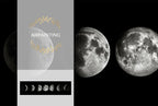 Wall Art Moon Phase Black White Posters