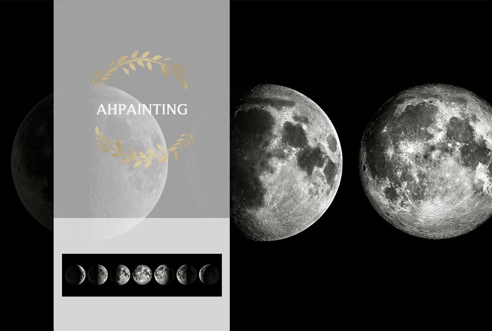Wall Art Moon Phase Black White Posters